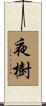 夜樹 Scroll