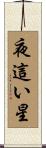 夜這い星 Scroll