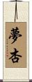 夢杏 Scroll