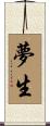 夢生 Scroll