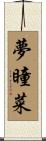 夢瞳菜 Scroll