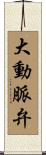 大動脈弁 Scroll