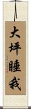 大坪睡我 Scroll