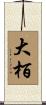 大栢 Scroll