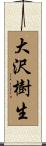 大沢樹生 Scroll