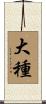 大種 Scroll