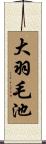 大羽毛池 Scroll