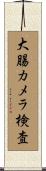 大腸カメラ検査 Scroll