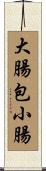 大腸包小腸 Scroll