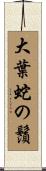 大葉蛇の鬚 Scroll