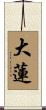 大蓮 Scroll