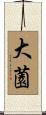 大薗 Scroll