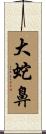 大蛇鼻 Scroll