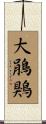 大鵑鶪 Scroll