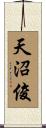 天沼俊 Scroll