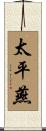 太平燕 Scroll