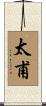 太甫 Scroll