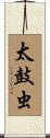 太鼓虫 Scroll