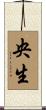 央生 Scroll