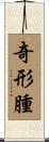 奇形腫 Scroll