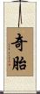 奇胎 Scroll