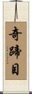 奇蹄目 Scroll