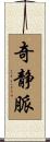 奇静脈 Scroll