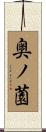 奥ノ薗 Scroll
