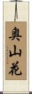 奥山花 Scroll