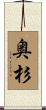 奥杉 Scroll