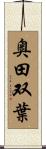 奥田双葉 Scroll
