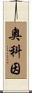 Aucoin Scroll