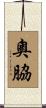 奧脇 Scroll