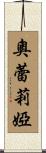 Aurelia Scroll