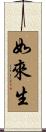 如來生 Scroll