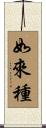 如來種 Scroll