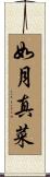 如月真菜 Scroll