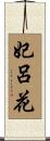 妃呂花 Scroll