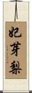 妃芽梨 Scroll