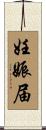 妊娠届 Scroll