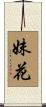 妹花 Scroll