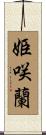姫咲蘭 Scroll
