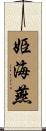 姫海燕 Scroll