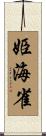 姫海雀 Scroll