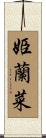姫蘭菜 Scroll