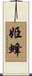 姫蜂 Scroll