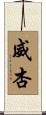 威杏 Scroll