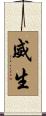 威生 Scroll