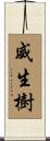 威生樹 Scroll