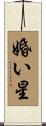 婚い星 Scroll
